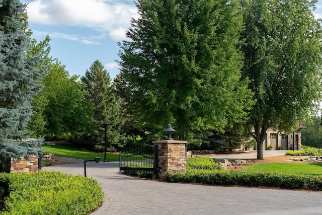 19752 Halwood Rd, Glenwood Twp, MN 56334 - view of community featuring a gate