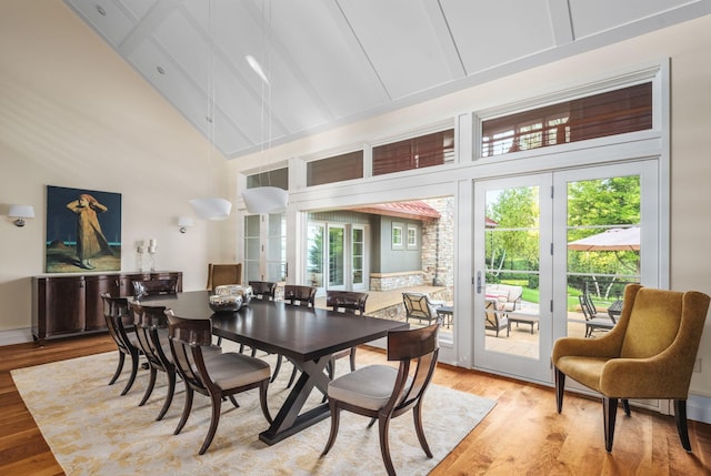 19752 Halwood Rd, Glenwood Twp, MN 56334 - dining room with high vaulted ceiling, healthy amount of natural light, and light wood-style floors