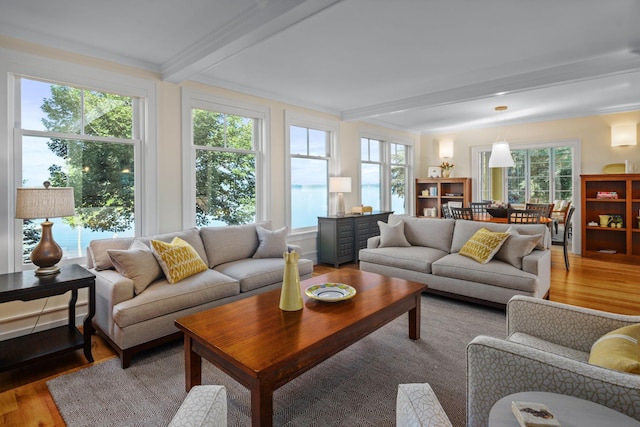 19752 Halwood Rd, Glenwood Twp, MN 56334 - living area with beamed ceiling, wood finished floors, and crown molding
