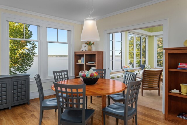 19752 Halwood Rd, Glenwood Twp, MN 56334 - dining area featuring crown molding, plenty of natural light, and wood finished floors