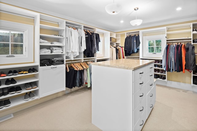 19752 Halwood Rd, Glenwood Twp, MN 56334 - spacious closet featuring light carpet