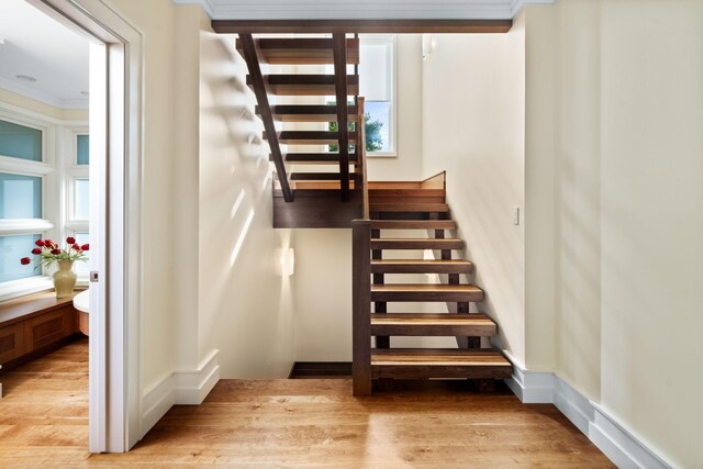 19752 Halwood Rd, Glenwood Twp, MN 56334 - stairs featuring ornamental molding and wood finished floors