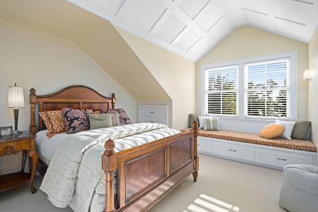 19752 Halwood Rd, Glenwood Twp, MN 56334 - bedroom with light colored carpet and vaulted ceiling
