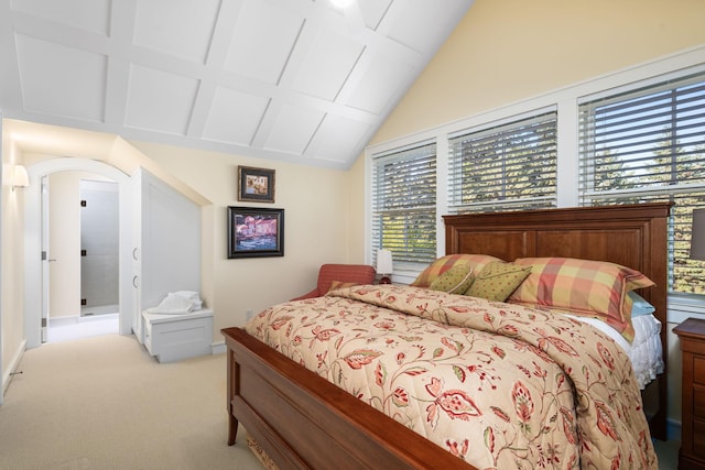 19752 Halwood Rd, Glenwood Twp, MN 56334 - bedroom with light carpet and arched walkways