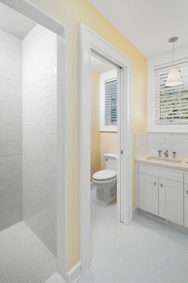 19752 Halwood Rd, Glenwood Twp, MN 56334 - bathroom featuring toilet, vanity, healthy amount of natural light, and baseboards
