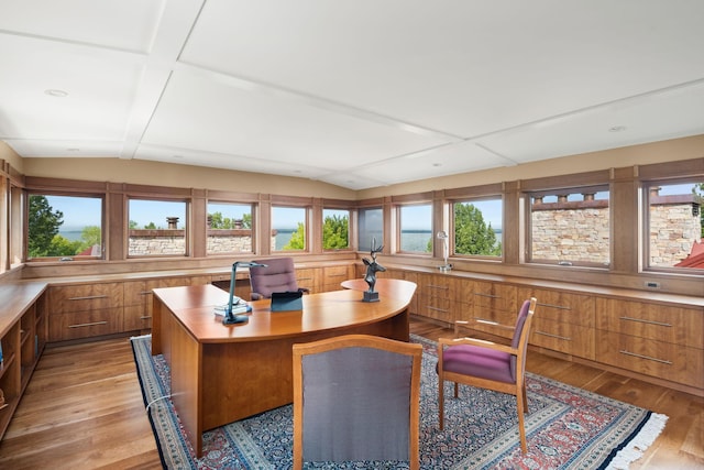 19752 Halwood Rd, Glenwood Twp, MN 56334 - office space with light wood-style floors and lofted ceiling