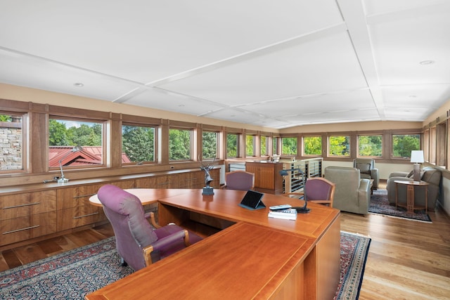 19752 Halwood Rd, Glenwood Twp, MN 56334 - office with light wood-style flooring, vaulted ceiling, and healthy amount of natural light