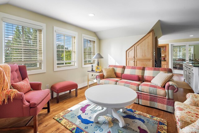 19752 Halwood Rd, Glenwood Twp, MN 56334 - living area featuring lofted ceiling, healthy amount of natural light, light wood-style flooring, recessed lighting, and baseboards