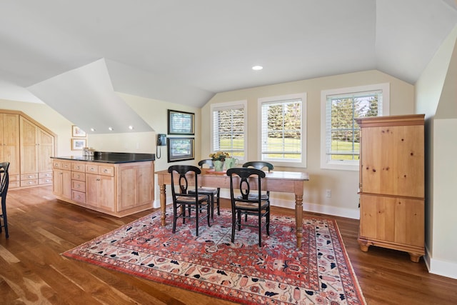 19752 Halwood Rd, Glenwood Twp, MN 56334 - dining area with vaulted ceiling, dark wood-style floors, and baseboards