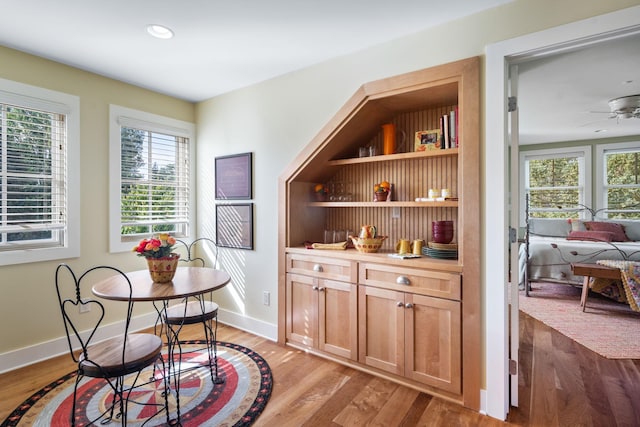 19752 Halwood Rd, Glenwood Twp, MN 56334 - dining room featuring light wood-type flooring, healthy amount of natural light, baseboards, a ceiling fan, and recessed lighting