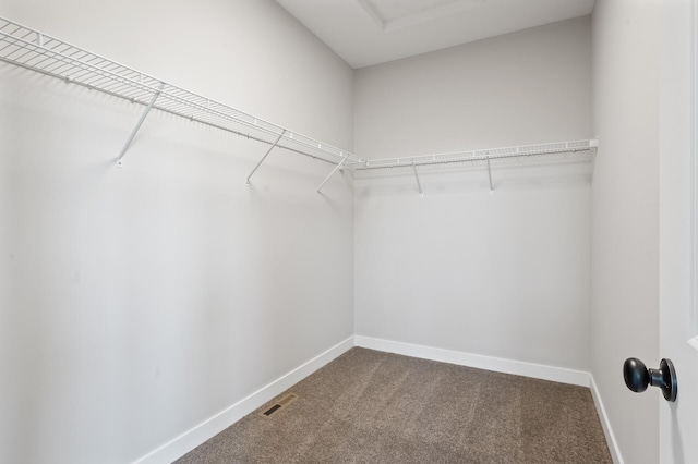 walk in closet with carpet