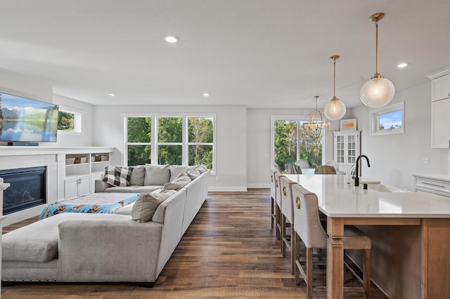 living room featuring sink and dark hardwood / wood-style floors