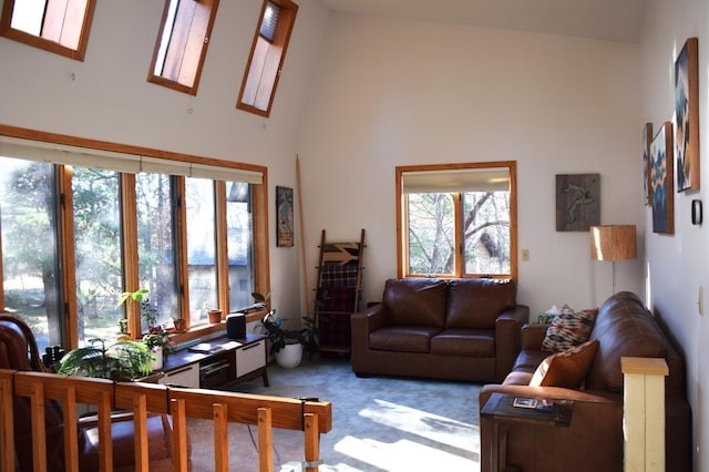 2935 Acorn Ln NE, Bemidji, MN 56601 - carpeted living room featuring high vaulted ceiling