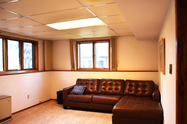 2935 Acorn Ln NE, Bemidji, MN 56601 - living room featuring carpet floors, a drop ceiling, healthy amount of natural light, and baseboards