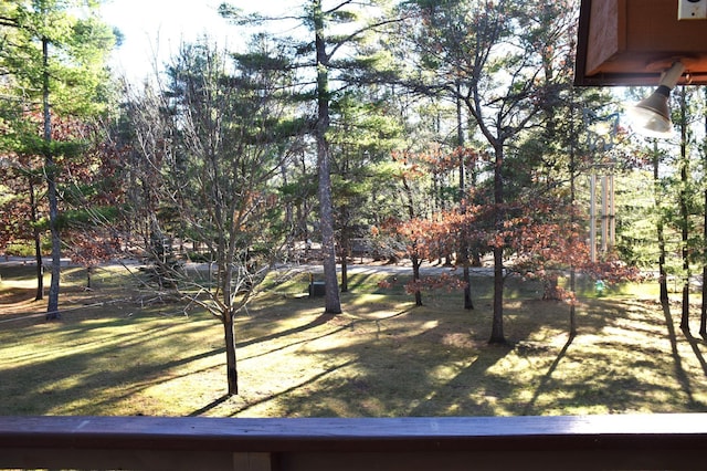 2935 Acorn Ln NE, Bemidji, MN 56601 - view of yard
