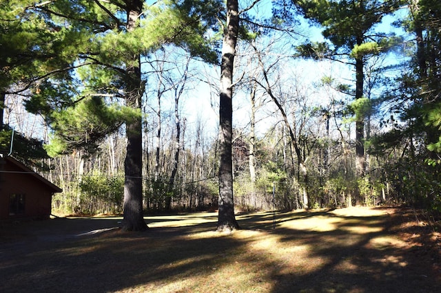 2935 Acorn Ln NE, Bemidji, MN 56601 - view of yard with a view of trees