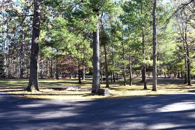 view of community