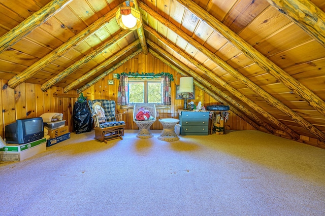 22077 Csah 14, Darwin, MN 55324 - view of unfinished attic