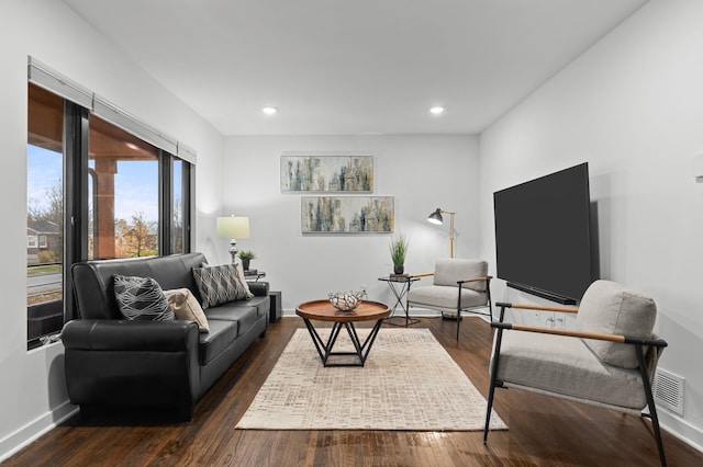 living room featuring dark wood-type flooring