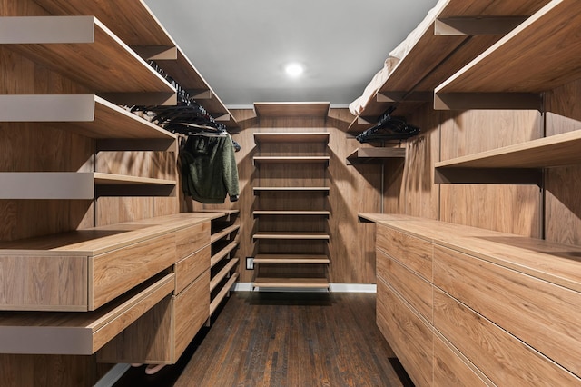 spacious closet with dark wood-type flooring