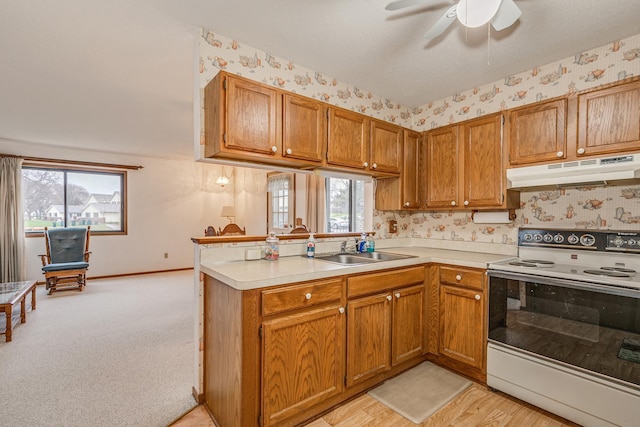 kitchen with sink, a wealth of natural light, white electric stove, and kitchen peninsula