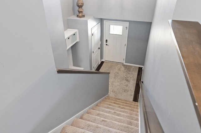 staircase featuring carpet floors