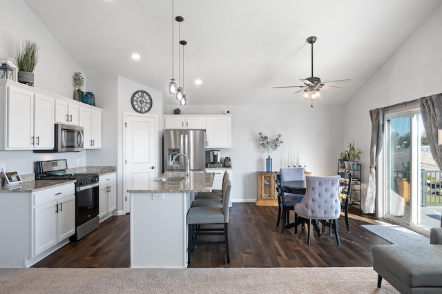 kitchen featuring a kitchen island with sink, a wealth of natural light, appliances with stainless steel finishes, and dark hardwood / wood-style floors