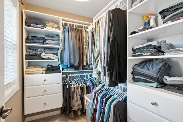 walk in closet featuring carpet