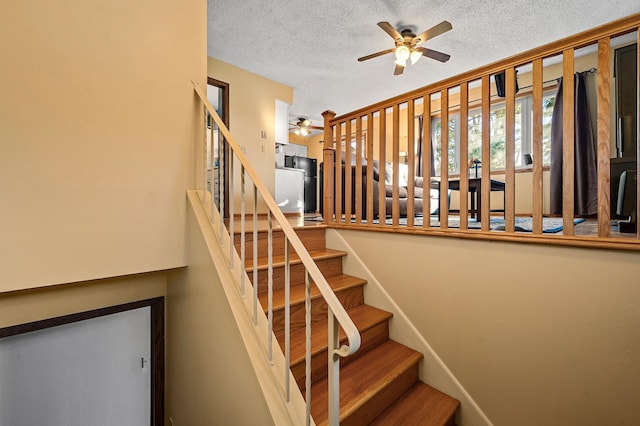 stairway with a textured ceiling