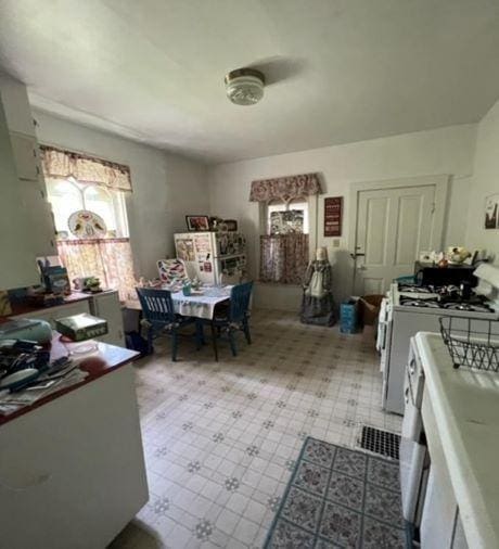 217 Spring St, Mankato, MN 56001 - dining area with tile patterned floors
