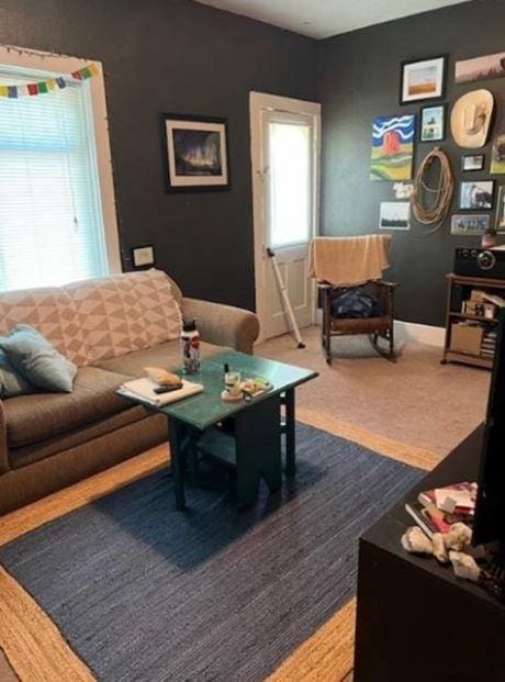 217 Spring St, Mankato, MN 56001 - view of carpeted living room