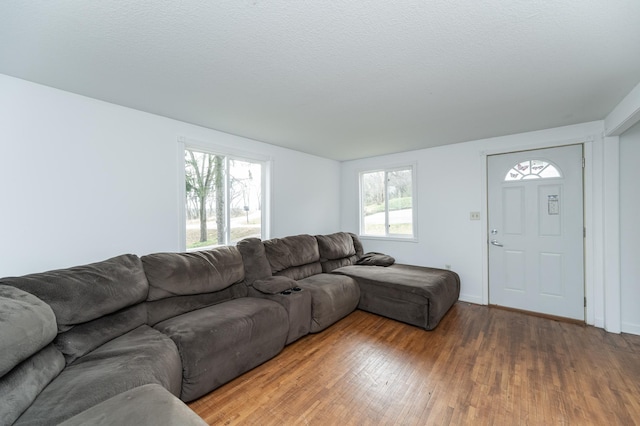 4163 Horseshoe Ct NE, Haverhill Twp, MN 55906 - living room with hardwood / wood-style floors and a textured ceiling
