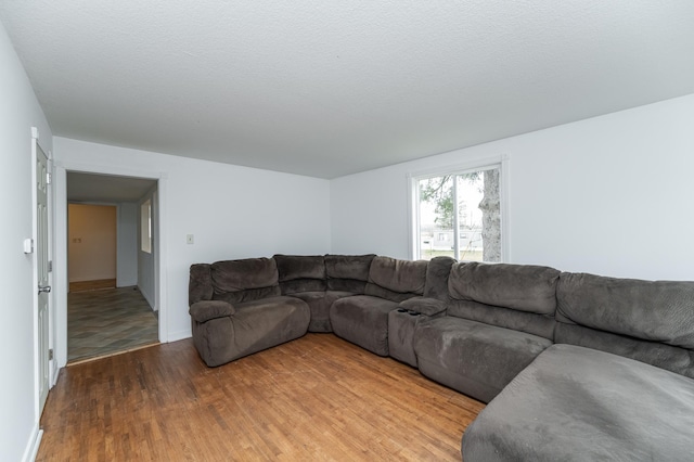 4163 Horseshoe Ct NE, Haverhill Twp, MN 55906 - living room with wood-type flooring and a textured ceiling