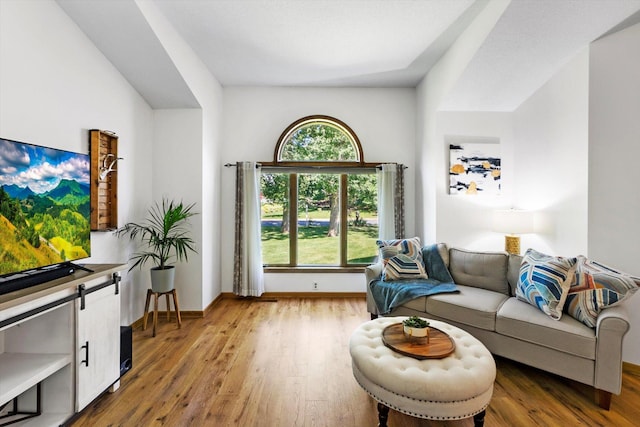 living room featuring wood-type flooring and plenty of natural light