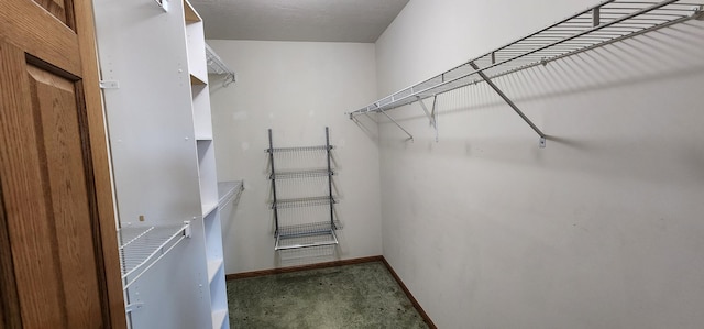 view of walk in closet