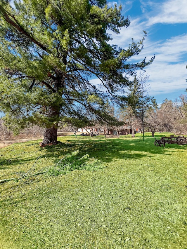7778 County Road 1, Timothy Twp, MN 56474 - photo 34