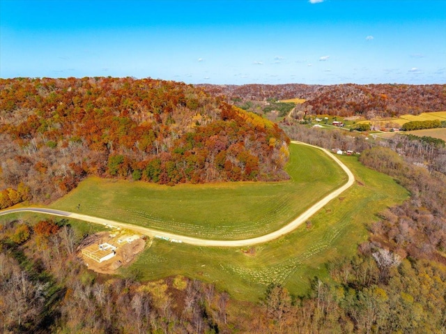 drone / aerial view featuring a rural view