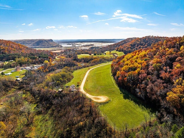 drone / aerial view with a water and mountain view