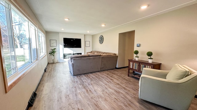 living room with light wood-type flooring and a wealth of natural light