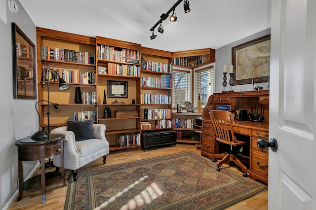 office space featuring a textured ceiling, light wood-type flooring, and rail lighting