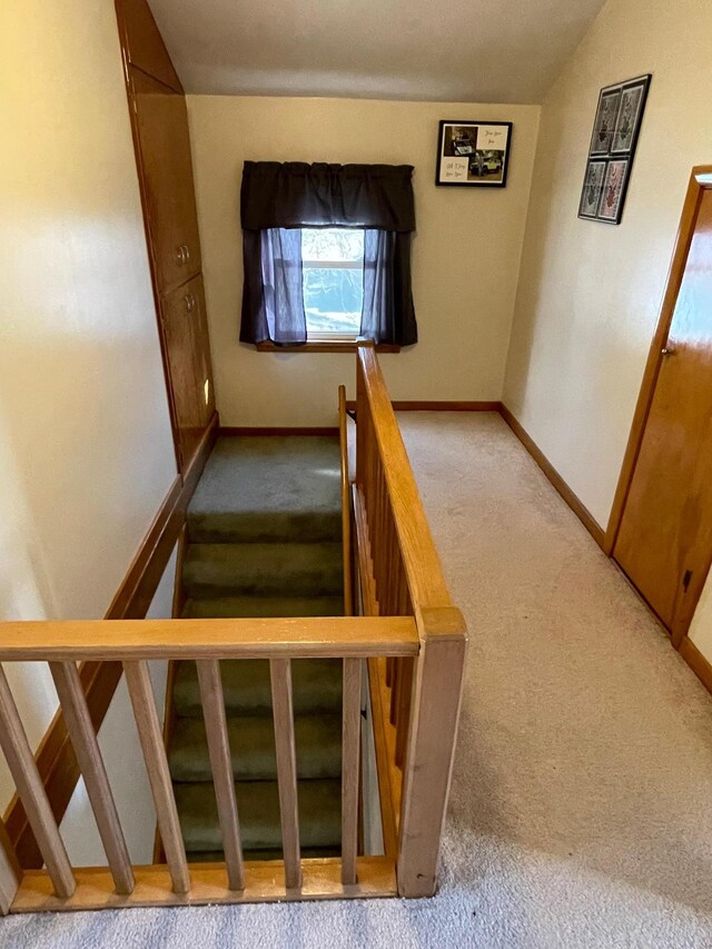 stairway with vaulted ceiling and carpet flooring