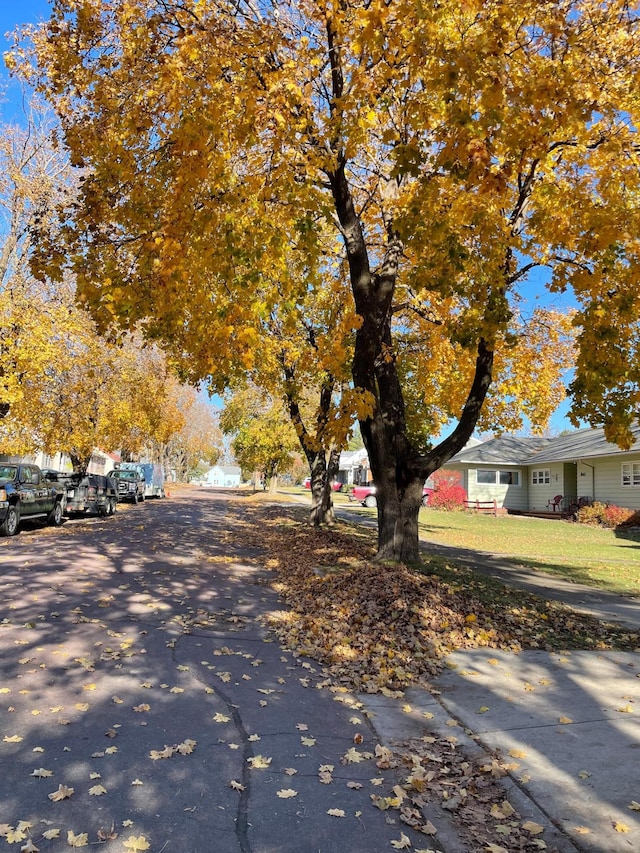 view of road