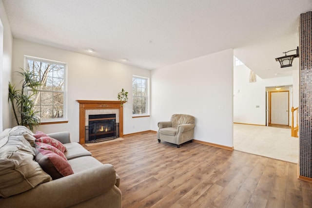 living room featuring a fireplace and light wood-type flooring