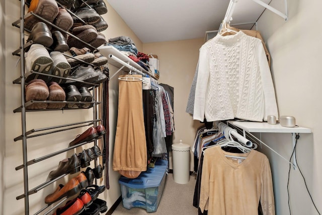 walk in closet with carpet flooring