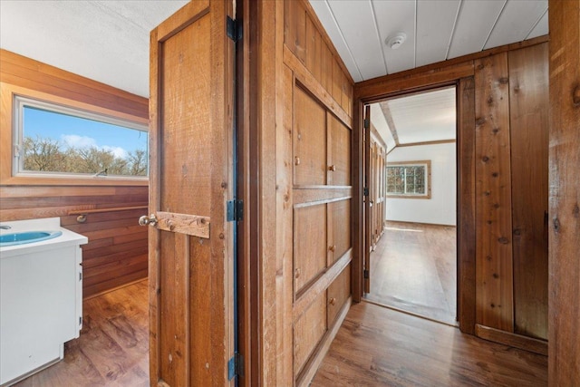 hallway featuring wood walls and hardwood / wood-style flooring