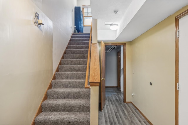 stairway with hardwood / wood-style floors