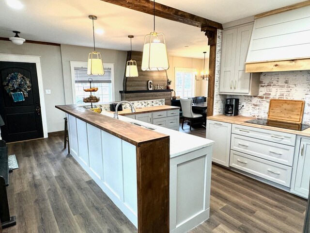 820 Labree Ave N, Thief River Falls, MN 56701 - kitchen with butcher block counters, a sink, premium range hood, decorative backsplash, and dark wood-style floors