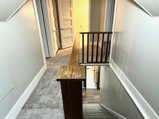 stairway with carpet floors