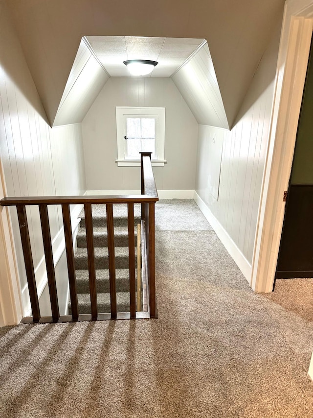 820 Labree Ave N, Thief River Falls, MN 56701 - bonus room with carpet and lofted ceiling