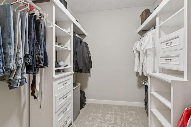 12770 196th Ave NW, Elk River, MN 55330 - spacious closet with carpet
